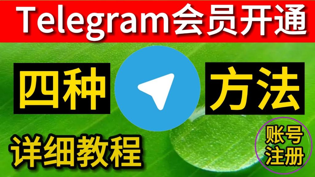 Telegram 怎么升级会员?官方步骤说明